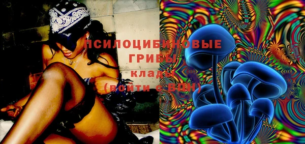 гидра Майский